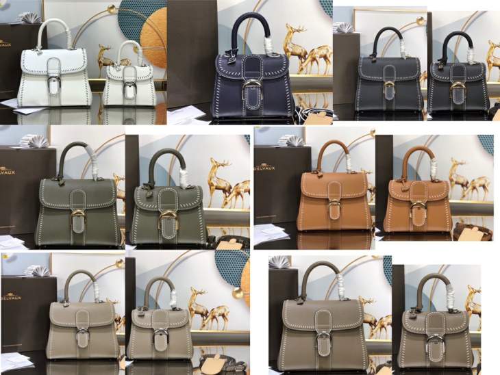 Picture of Delvaux Handbags _SKUfw206732478fw